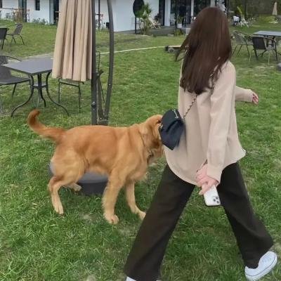 走着瞧